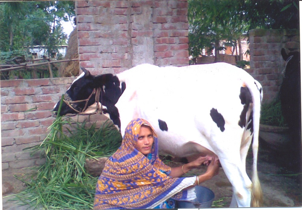 Krishikhamar - 1756968584.jpg